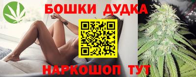 индика Апшеронск
