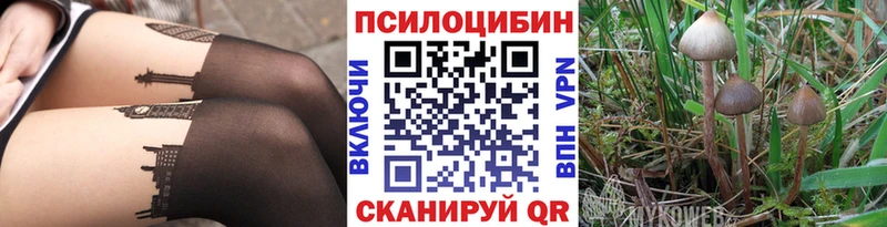 Псилоцибиновые грибы Cubensis  Балашиха 