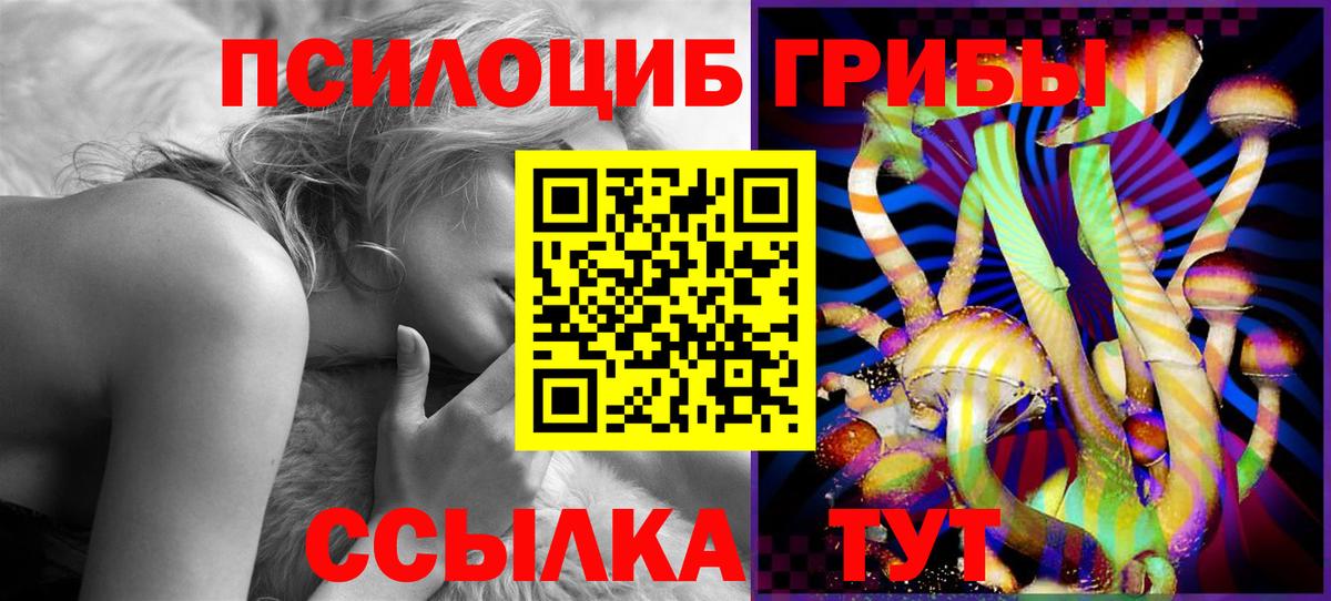 Балашиха  Псилоцибиновые грибы Psilocybe  Вход с VPN 