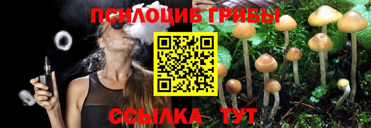 Псилоцибиновые грибы Psilocybine cubensis Балашиха