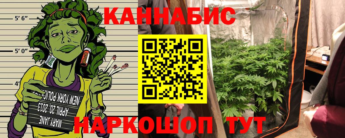 Каннабис конопля  Канабис Bruce Banner  Балашиха  Марихуана Amnesia  Бошки марихуана VHQ 
